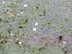 -丽江泸沽湖景区