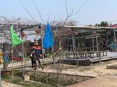 -小鱼草莓采摘园农家乐·小鱼餐厅