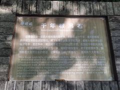 -呀诺达热带雨林