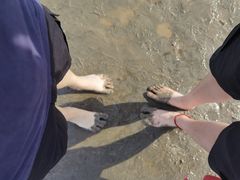 -奉贤海滩