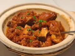 富贵美容猪脚圈-梧桐餐厅(泉城路店)