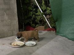 -宾湖农庄·农场特色(太湖龙之梦店)