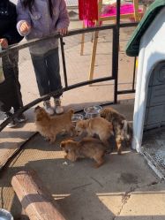 -优沃得自然教育农场·冰雪乐园·生日会·研学