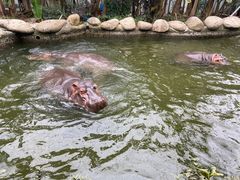 -宁波野生动物园