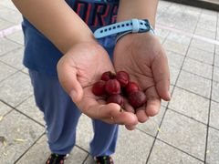 -大青山野生动物园