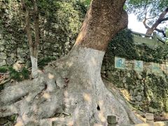 -吴山景区