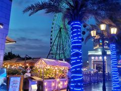 -三亚海昌梦幻海洋不夜城