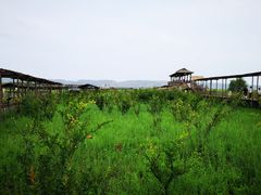 -处女泉风景名胜区