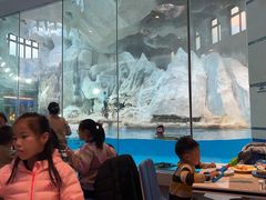 -帝企鹅自助餐厅•儿童岛•真企鹅(长隆企鹅酒店)