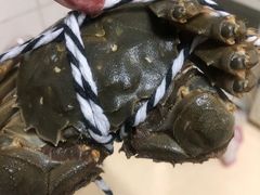 -七的湖·晚芳亭·阳澄湖农家菜·大闸蟹(莲花岛店)