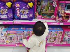 -TOYSRUS玩具反斗城(正大广场店)