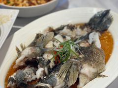 -洋洋中餐馆·SINCE 1997(信投店)