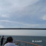 大灣區二號⛴️🚢🛥️