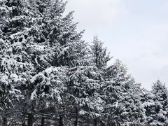 -鳌山滑雪度假区