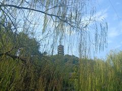 景点-焦山风景区