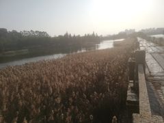 -五里桥文化公园-西侧停车场