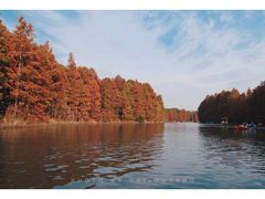 -上海海湾国家森林公园