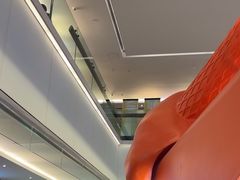-野人先生现做冰淇淋(北京王府井东方新天地店)