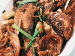 红烧昂子鱼-状元楼(金溪路店)