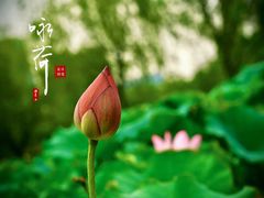 -大宁公园