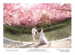 点击看大图 -天一婚纱摄影TIA STUDIO(珠海路店)