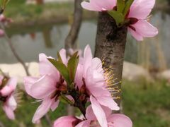 -长田漾湿地公园
