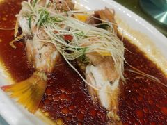 清蒸小红斑-紫阳海鲜楼·传承闽味(长乐路总店)