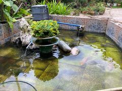 -傣泐金湾餐厅