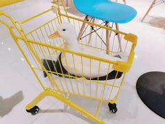 -RU DUCK柯尔鸭公社·撸鸭俱乐部·羊驼·小香猪