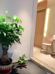 -苑苑vbeauty科技美容SPA