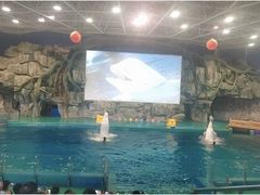 -威海华夏城景区