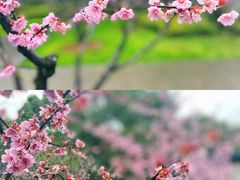 -静安雕塑公园