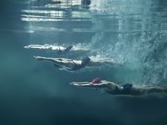 -DBSWIM深呼吸国际游泳培训(黄浦店)