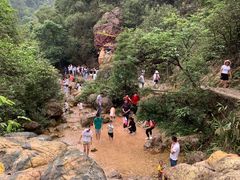 -南海湾森林生态园