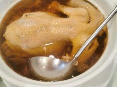 -大树头森林餐厅(番禺广场店)