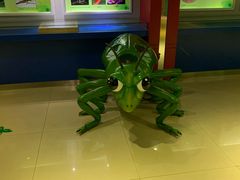 -上海昆虫博物馆