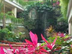 -广州白天鹅宾馆