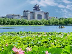-莲花池公园
