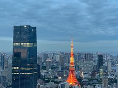 -六本木新城展望台(东京城市景观)