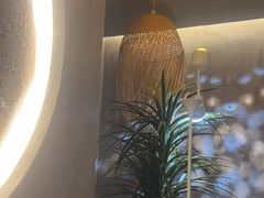 -施奈儿.洗头頭療.按摩SPA.采耳(上梅林店)