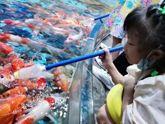 -芜湖新华联大白鲸海洋公园