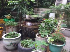 -素清香(解放路店)