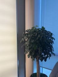 -杭州海亮医院 · 禾芸嘉医美中心