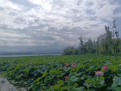 -西昌邛海湿地