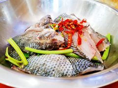 罗非鱼-刘胖娃鱼庄·特色肥肠鱼(杨家坪店)