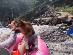 -安吉龙王山峡谷漂流
