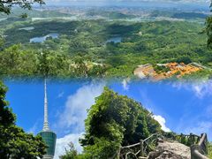 -梧桐山风景名胜区