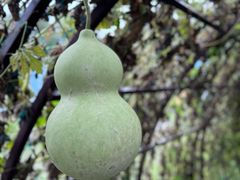 -中国天府农业博览园