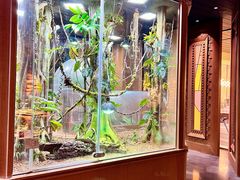 -帕帕拉兹宠物(亚洲旗舰店)