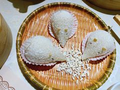 -点都德·毕德寮